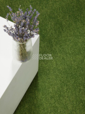 Haima Coral 30 фото 16 | FLOORDEALER